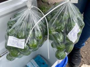 73720e69-8f81-45e8-9c5d-775ba0193ab8