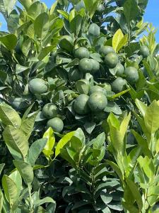 9ee4a529-00a4-45af-af9f-2c0957329e3a