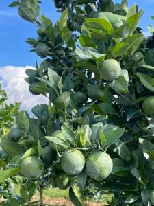 c9eac406-7beb-4a28-a9f2-85874bba1bce