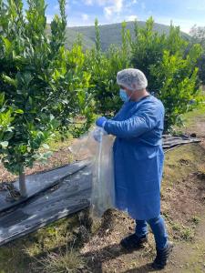 f6ede9f2-3420-477f-9462-d3f41a5f0139