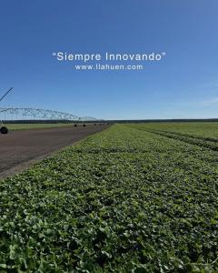 inmark (1)